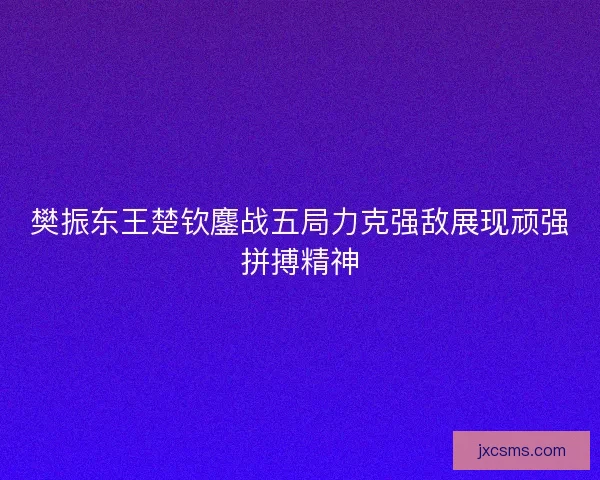 樊振东王楚钦鏖战五局力克强敌展现顽强拼搏精神